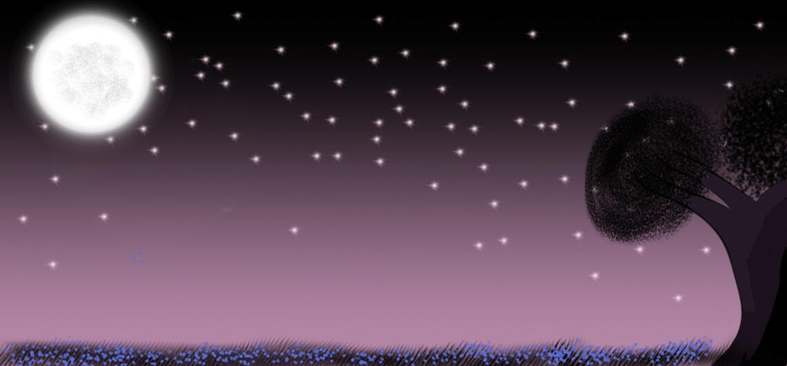 Night shine
